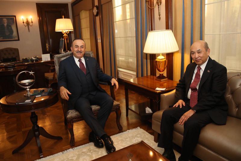 AMBASSADOR MET WITH FOREIGN MINISTER OF TURKEY