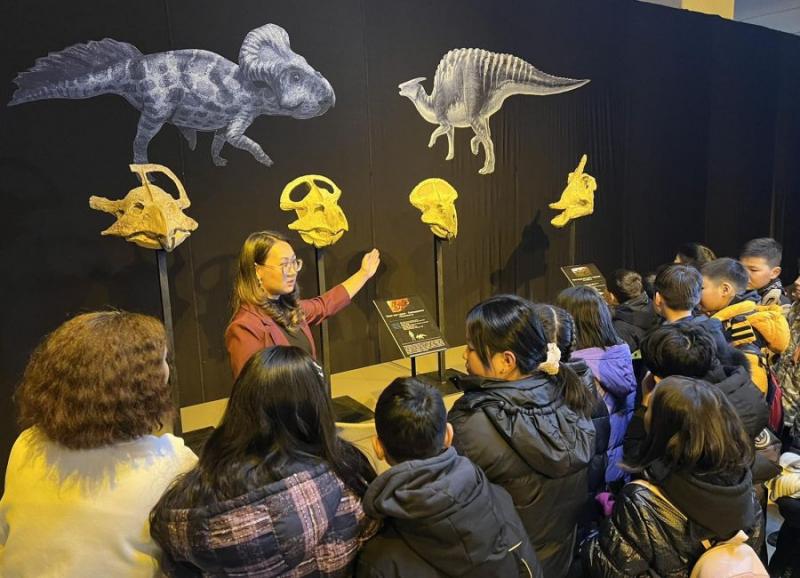 Dinosaur Fossils Discovered in Mongolia Now on Exhibit