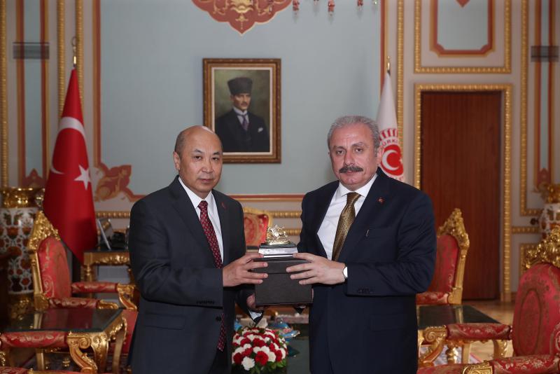 AMBASSADOR MEETS WITH SPEAKER OF THE GRAND NATIONAL ASSEMBLY OF TURKEY (TBMM)