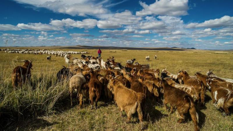MONGOLIA’S CENTRAL PROVINCES AIM TO DEVELOP ENVIRONMENTALLY SUSTAINABLE AGRICULTURE