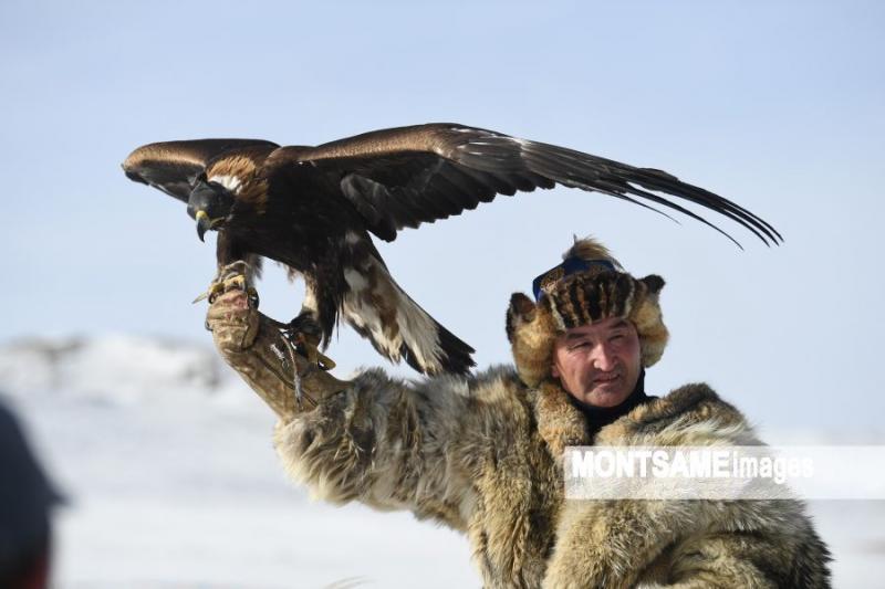 Continuous Effort of Preserving Falconry- The Eagle Festival