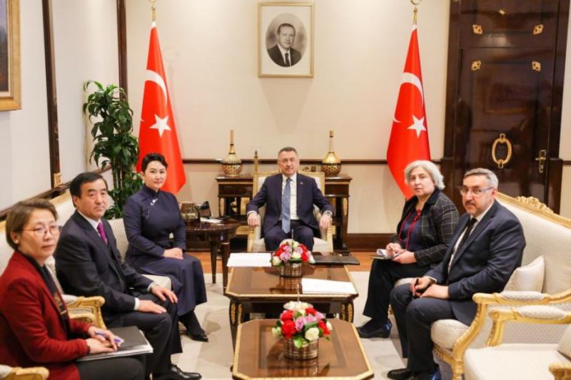 MINISTER OF FOREIGN AFFAIRS PAYS COURTESY CALL ON VICE PRESIDENT OF TURKIYE