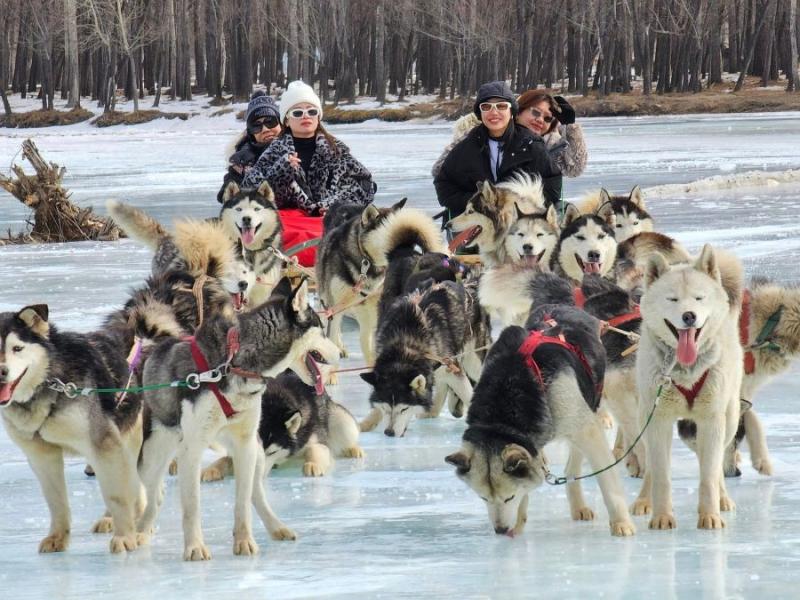 Enhancing Winter Tourism: Must-Experience Winter Events in Mongolia
